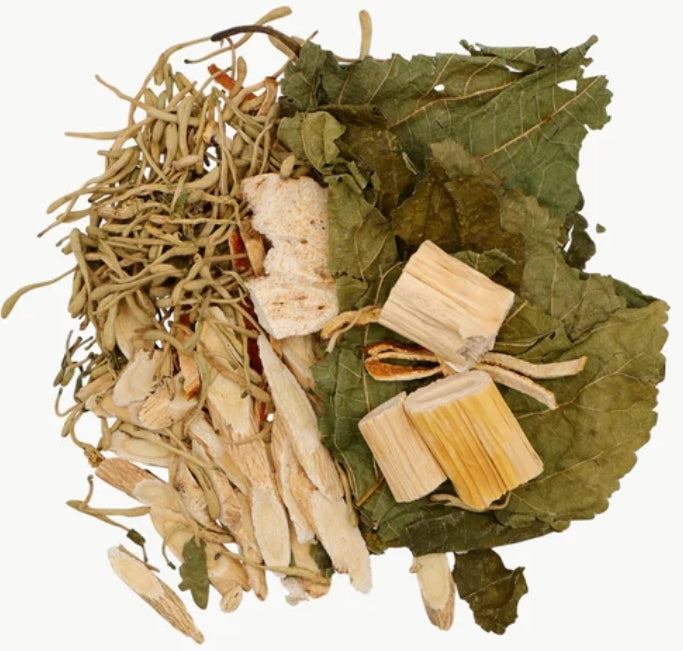 Immune /Traditional Botanical supplement