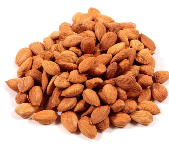 Apricot kernels.