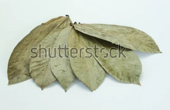 Soursop Leaves