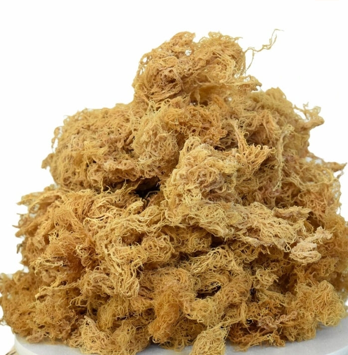 Sea Moss
(Chondrus Crispus)
 100% PURE | NATURAL