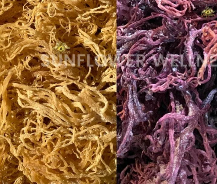 Sea Moss
(Chondrus Crispus)
 100% PURE | NATURAL